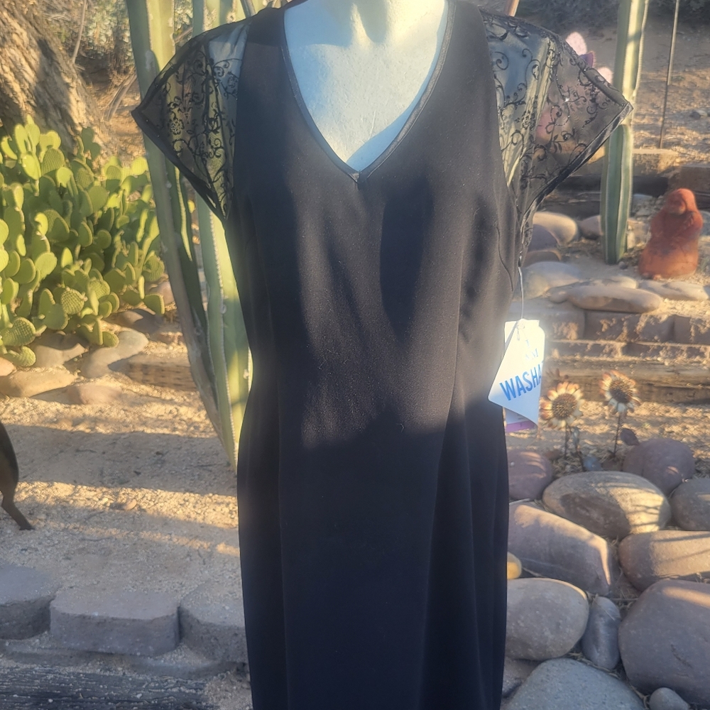 LBD Stylish Little Black Dress Shimmery Sheer Top